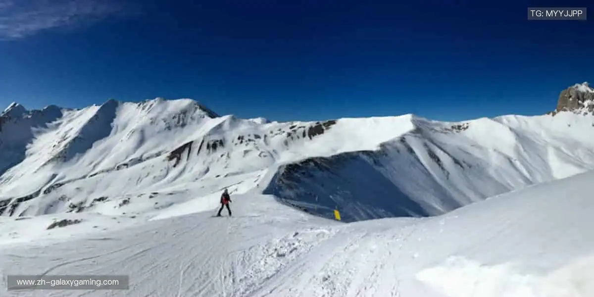 🏀 巅峰之战，不容错过！全球赛事同步直播，零时差感受速度与激情！